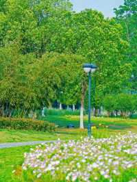 關於合肥春天嘅詩應該留喺大房郢體育公園