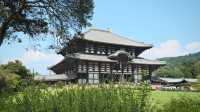 奈良東大寺，千年古剎的寂靜詩篇