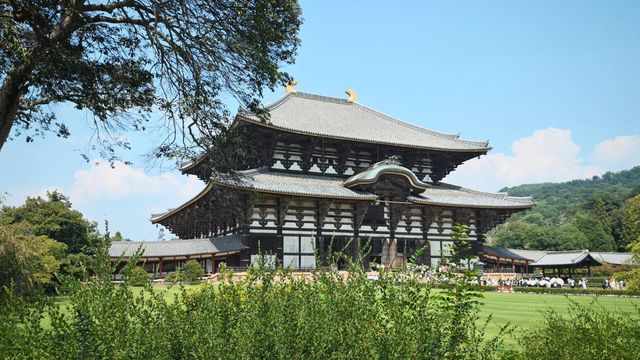 奈良東大寺，千年古剎的寂靜詩篇