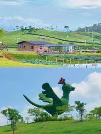 廣州周邊親子遊天花板！惠州鹿鷹園2h直達