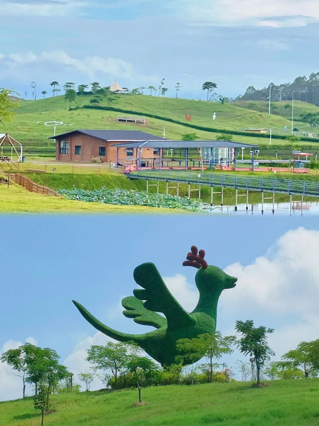 廣州周邊親子遊天花板！惠州鹿鷹園2h直達