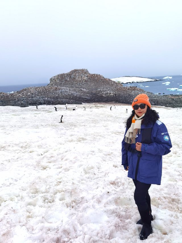 登陸南極龍尼島