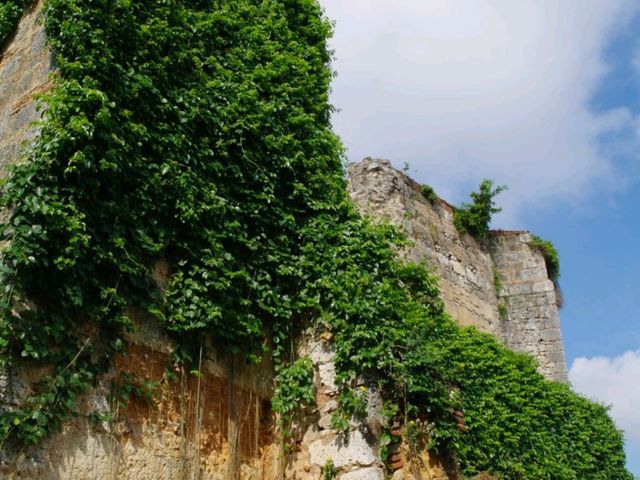 聖多明各市的聖方濟各修道院遺址