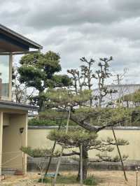 大阪隱藏版日式庭院民宿 | 松庭🥰