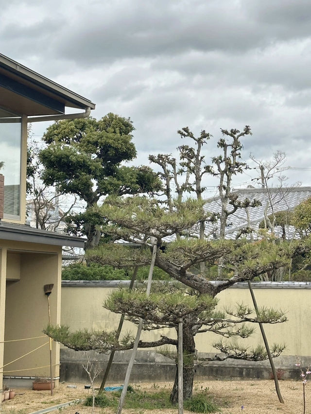 大阪隱藏版日式庭院民宿 | 松庭🥰
