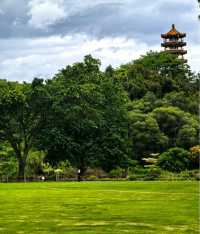 一齊去公園行下·深圳仙湖植物園！