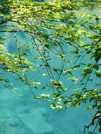 各位朋友！夏天嘅川西旅行天花板又有新玩法啦！