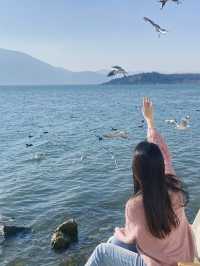 等待海鷗季，喺大理度過嘅海邊浪漫假期
