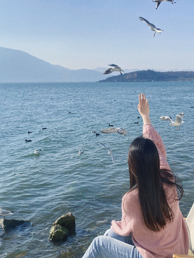 等待海鷗季，喺大理度過嘅海邊浪漫假期