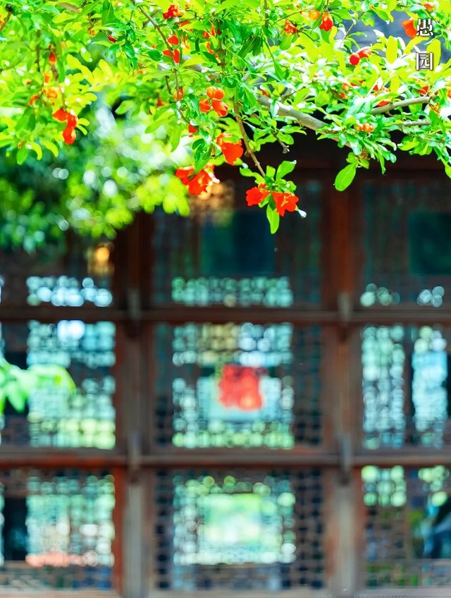 金陵夏焰：榴火灼灼映六朝