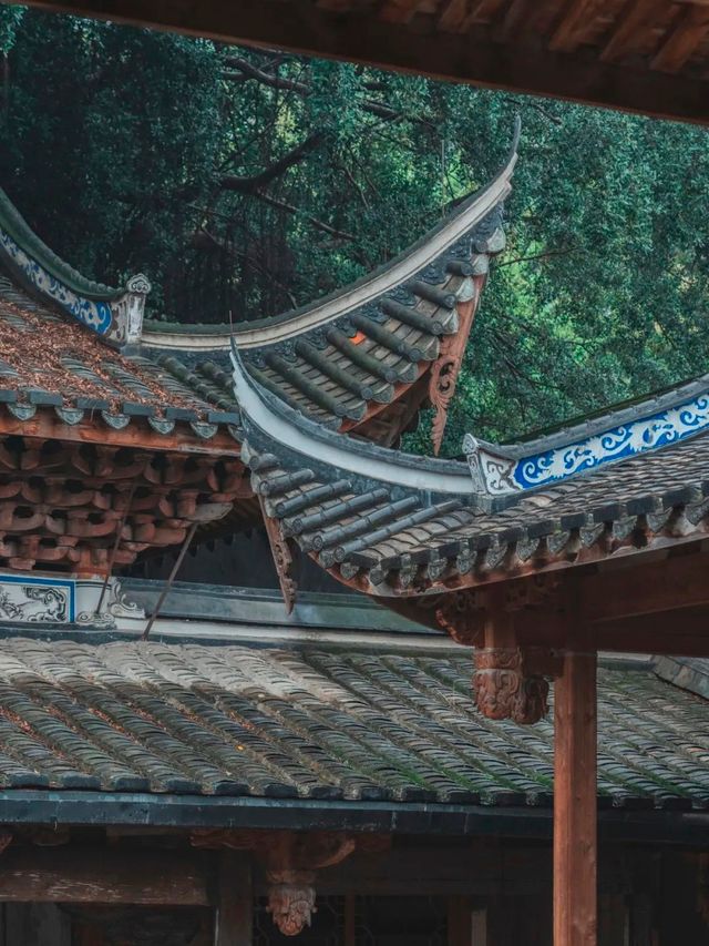 雨季漫遊指南！一鍵解鎖福建賞雨寶藏地~