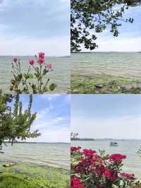 東湖暑假兩日漫遊