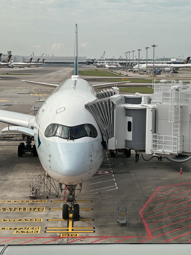 🛫香港機場國泰商務艙｜新加坡-香港飛行體驗