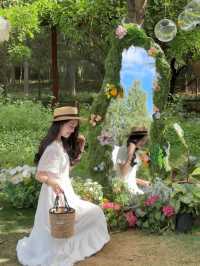 洛陽新發現！洛博對面竟藏著現實版「莫奈花園」