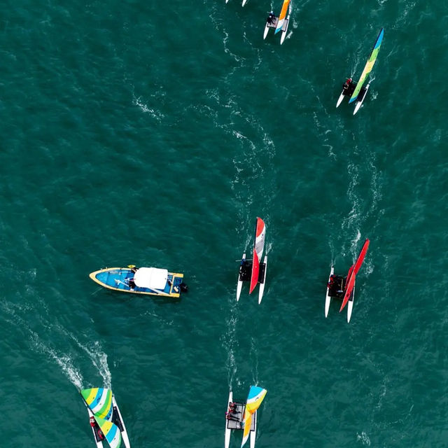 ⛵️【西貢海灣吹風!Hobie帆船賽靚到想落海】  ⛵️【西貢海灣吹風!Hobie帆船賽靚到想落海】