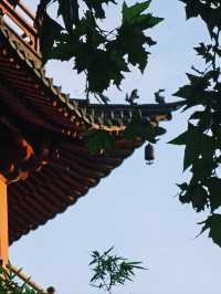 寧波天一閣0元夜遊攻略｜穿越400年藏書樓！