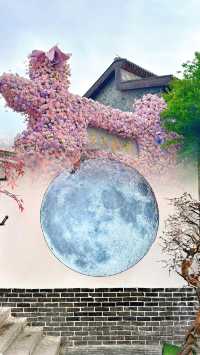 萬壽宮夜遊指南：當古建築遇上現代燈光秀