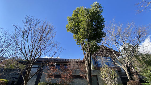 大理蒼山下的寶藏酒店！背靠蒼山十九峰，面向洱海萬頃波