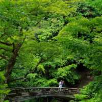 大阪Forest park森林公園🌲！都市綠肺秘境全攻略，吸氧放鬆必衝！