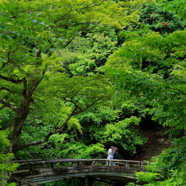 大阪Forest park森林公園🌲！都市綠肺秘境全攻略，吸氧放鬆必衝！