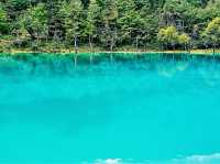 Shangri-La in Summer: Where the Tibetan Plateau Blooms Under Azure Skies