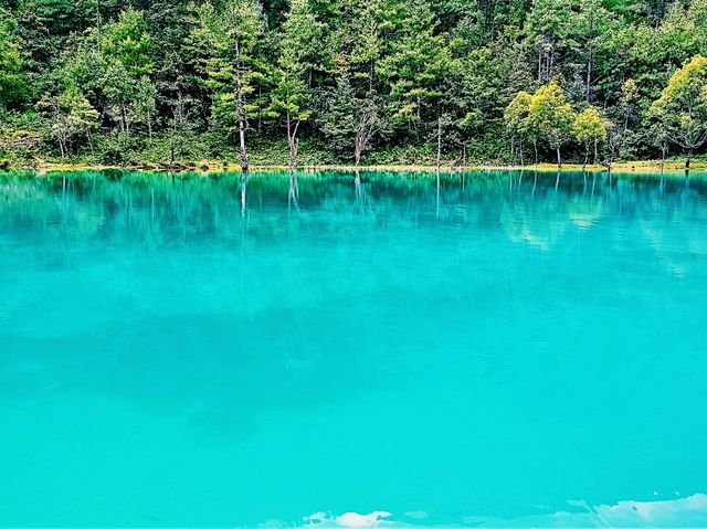 Shangri-La in Summer: Where the Tibetan Plateau Blooms Under Azure Skies