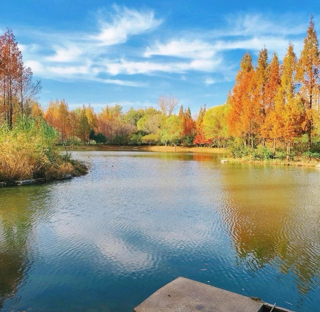 濟南森林公園 | 城市中的自然瑰寶