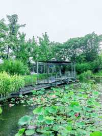 錢江三橋濱江東側，江景壯闊，步道優美