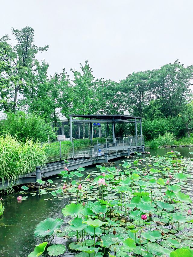錢江三橋濱江東側，江景壯闊，步道優美