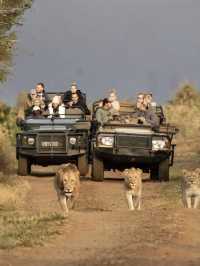 Tanzania Diaries: Where Wild Dreams Come True! 🌍✨