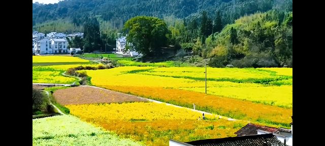 邂逅篁嶺，赴一場夢幻的田園之約   踏入篁嶺，彷彿穿越時空，走進了一幅被歲月珍藏的江南畫卷。連綿的山