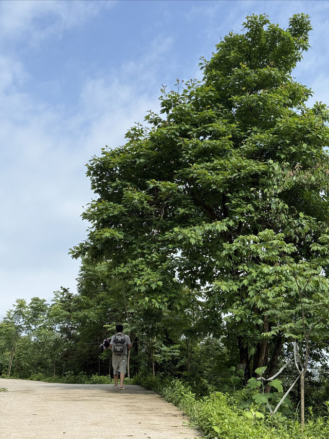 尖峰嶺森林公園，湖南郴州嘅天然氧吧