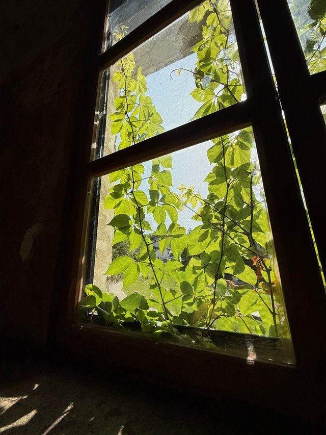 專屬22℃夏日嘅村落‖放慢腳步感受山水禪意～