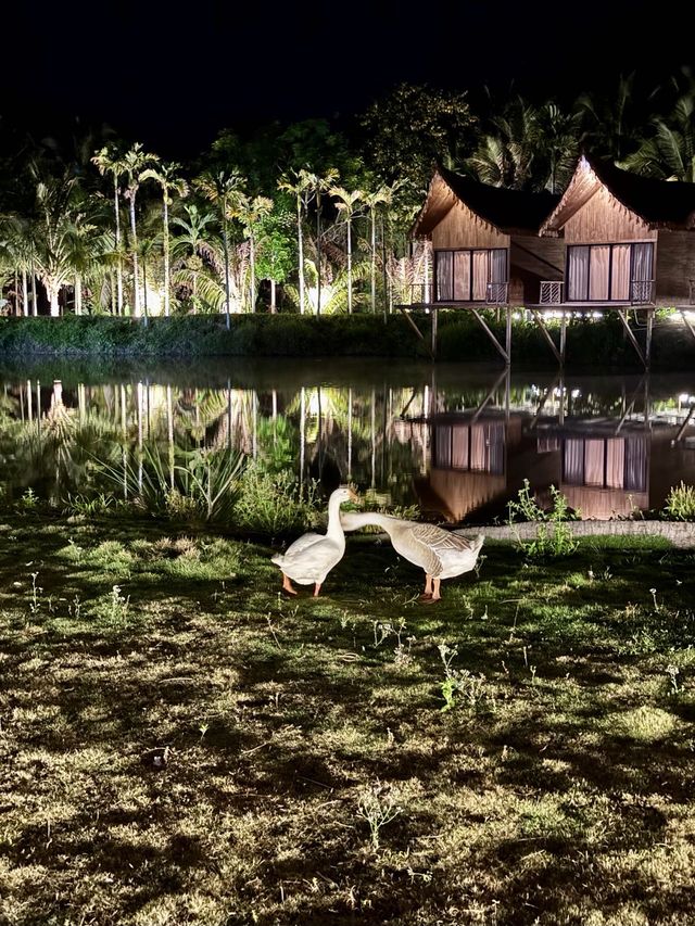 佩妮達·水明漾綠意盎然～萬寧住到絕美民宿