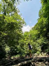 本溪｜淌石溝-東大崗-刺花溝