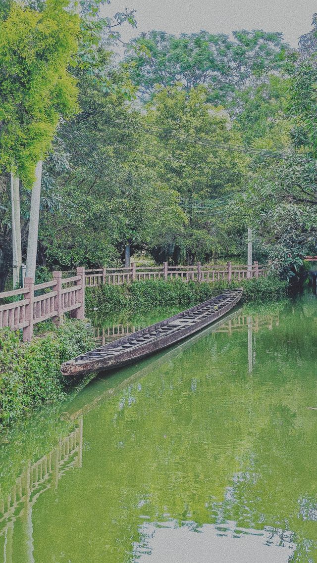 探秘嶺南明珠：順德逢簡水鄉一日悠遊