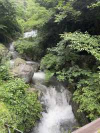 ‌劍匣雲淵：莫干山竹海暗藏嘅淬火密箋‌