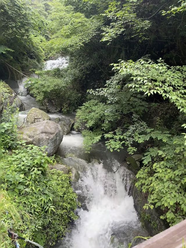 ‌劍匣雲淵：莫干山竹海暗藏嘅淬火密箋‌