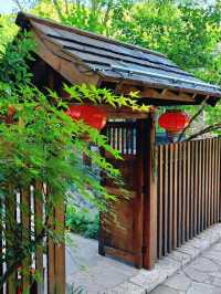 邊個話坡峰嶺得秋天先有紅葉睇？！夏天嚟玩都正到爆！