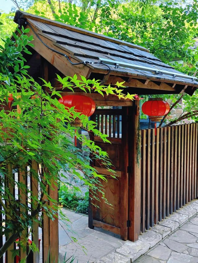 邊個話坡峰嶺得秋天先有紅葉睇？！夏天嚟玩都正到爆！