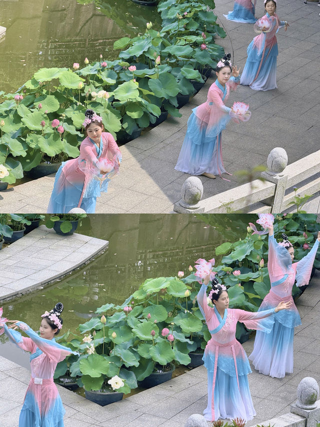 夏日炎炎好運蓮蓮🪷🪷廣州的浪漫