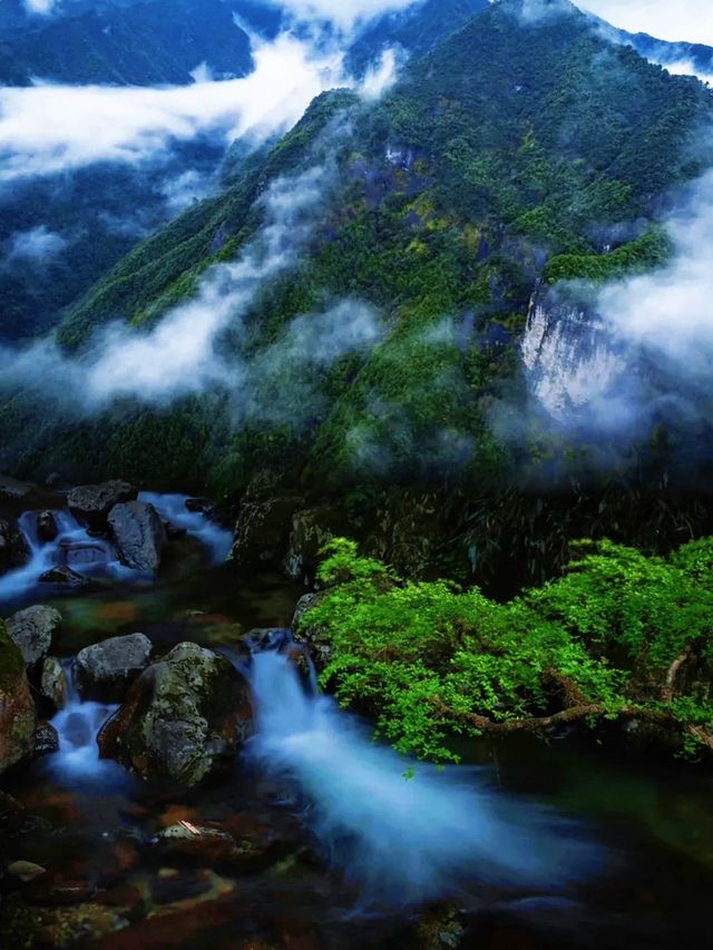 遂昌山中避暑遊玩好去處