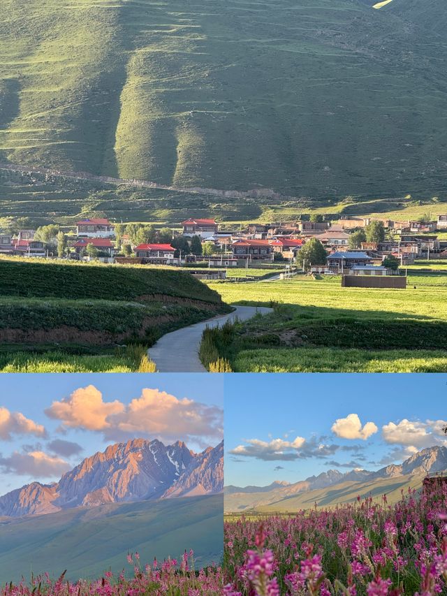 呢個就係川西夏天嘅含金量！！！