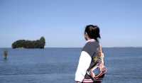 昆明鯨魚島美得不真實
