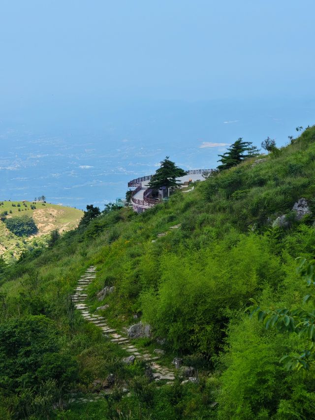 在湖北！21º嘅高山草原，夏天真係舒服到震～