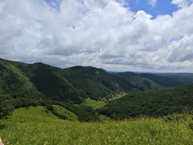 御道口這家民宿，你一定想不到有多好玩！