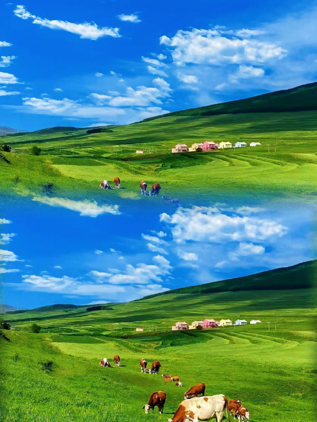 北京出發3小時直達！張北草原夏日消暑全攻略