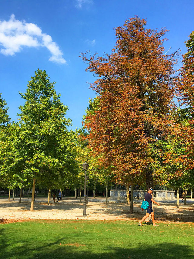 麗池公園：馬德里市區綠寶石般的休閒勝地