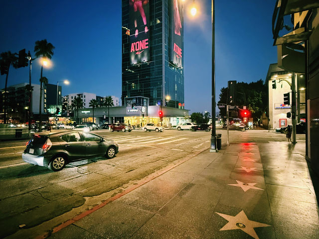 🌟 Hollywood Dreams in LA! 🌴