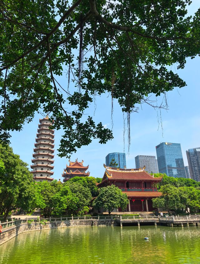福州旅行|呢間酒店我逢人就推介! 福州旅行|呢間酒店我逢人就推介!